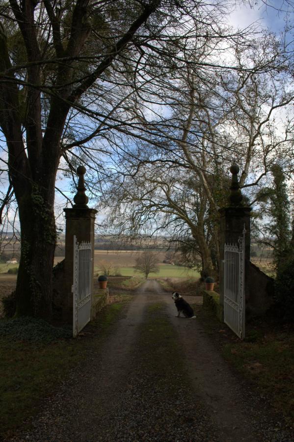 Au Chateau Juillac Dış mekan fotoğraf